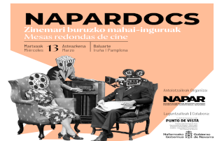 Napardocs-2024-punto de vista-zinea